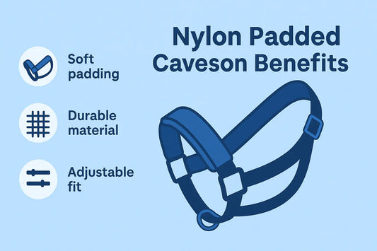 Discover-Nylon-Padded-Caveson-Benefits-for-Effective-Training Huntley Equestrian