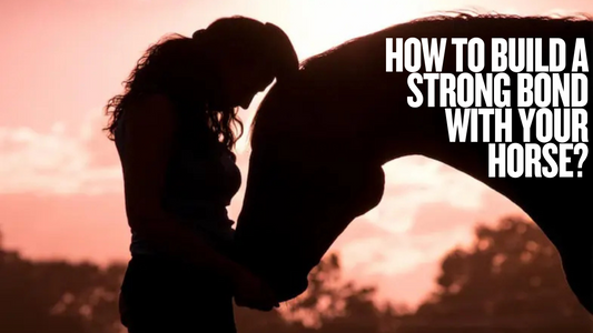 How to Build a Strong Bond with Your Horse? - Huntley Equestrian