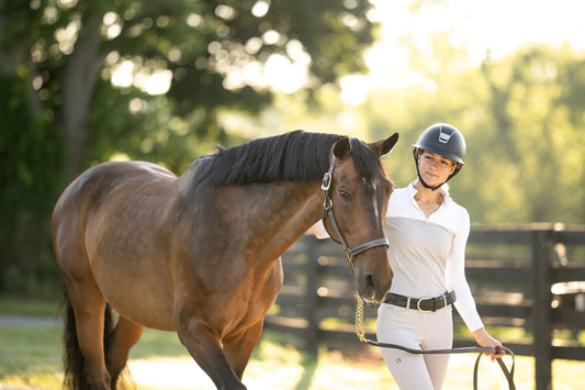 Is-Horse-Riding-a-Sport Huntley Equestrian