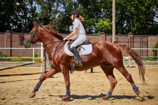 Where-to-Buy-Horse-Riding-Gear-A-Complete-Guide Huntley Equestrian