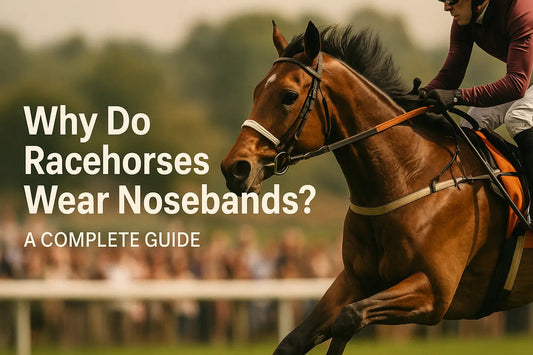 Why-Do-Racehorses-Wear-Nosebands-A-Complete-Guide Huntley Equestrian