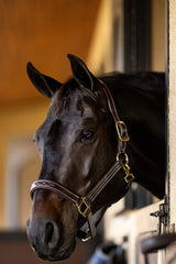 Huntley Equestrian Fancy Stitched Premium Leather Padded Halter - Huntley Equestrian