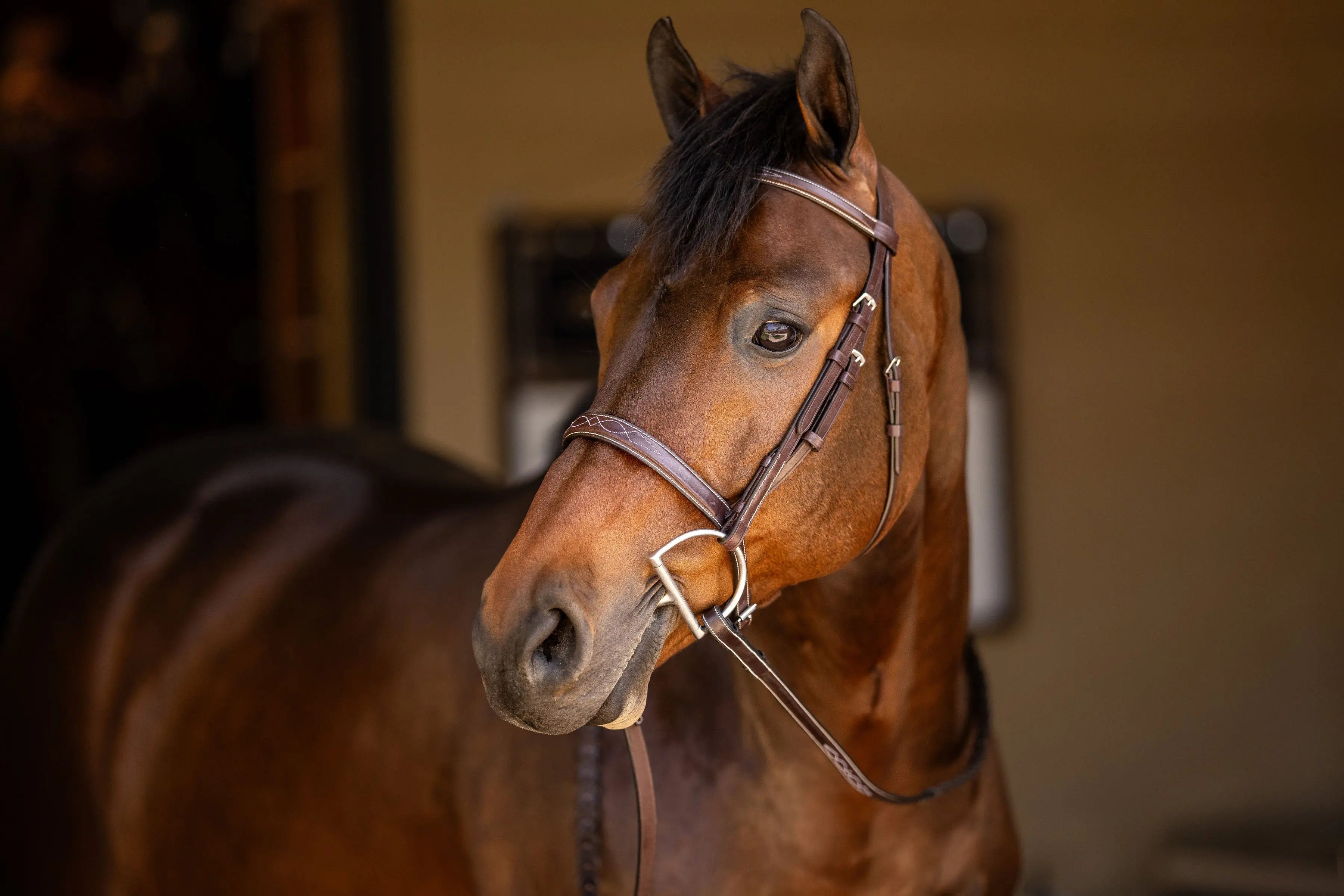 Huntley Equestrian Sedgwick Fancy Stitched Square Raised Hunter Horse Bridle with Reins Huntley Equestrian