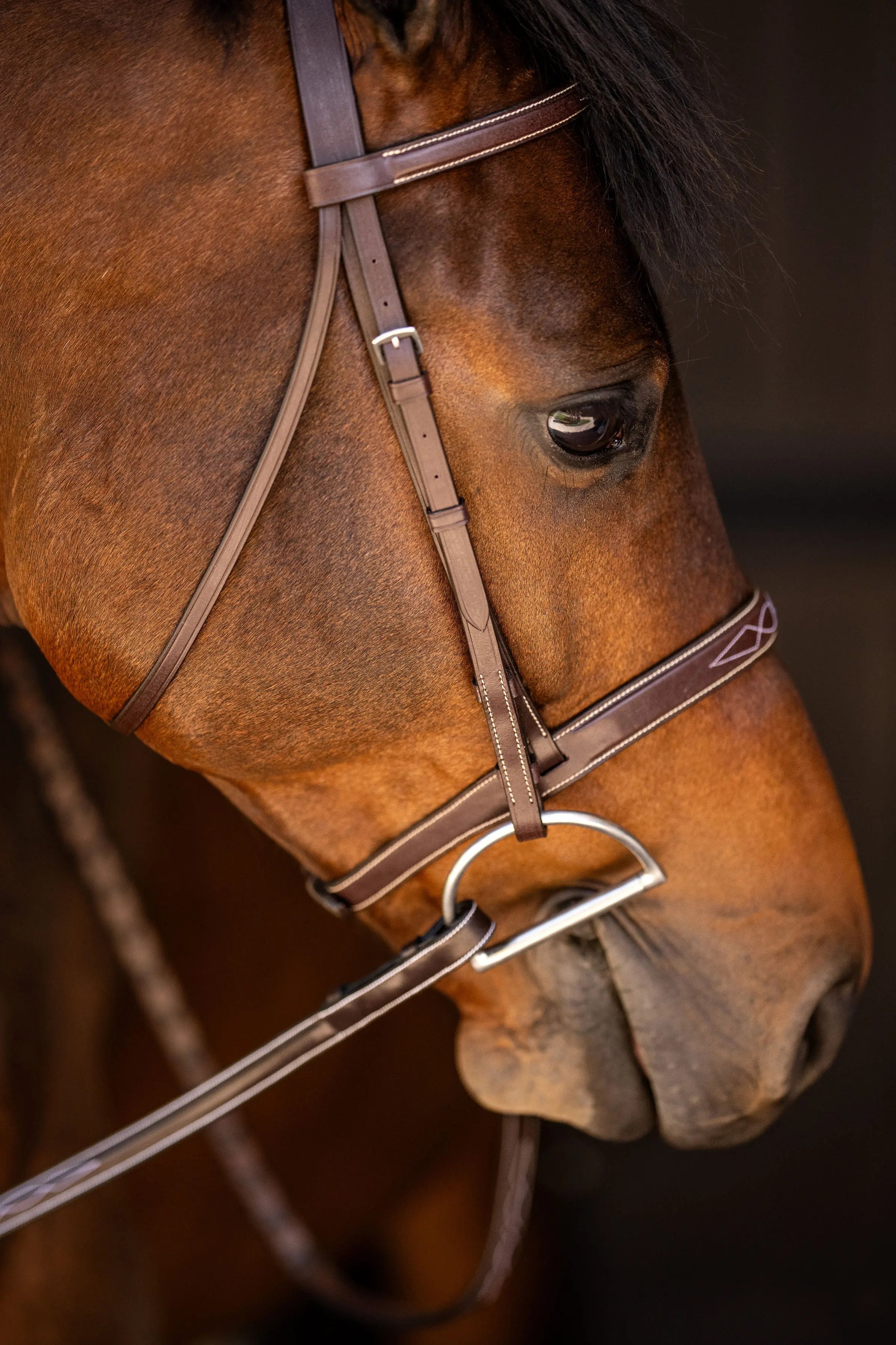 Huntley Equestrian Sedgwick Fancy Stitched Square Raised Hunter Horse Bridle with Reins Huntley Equestrian
