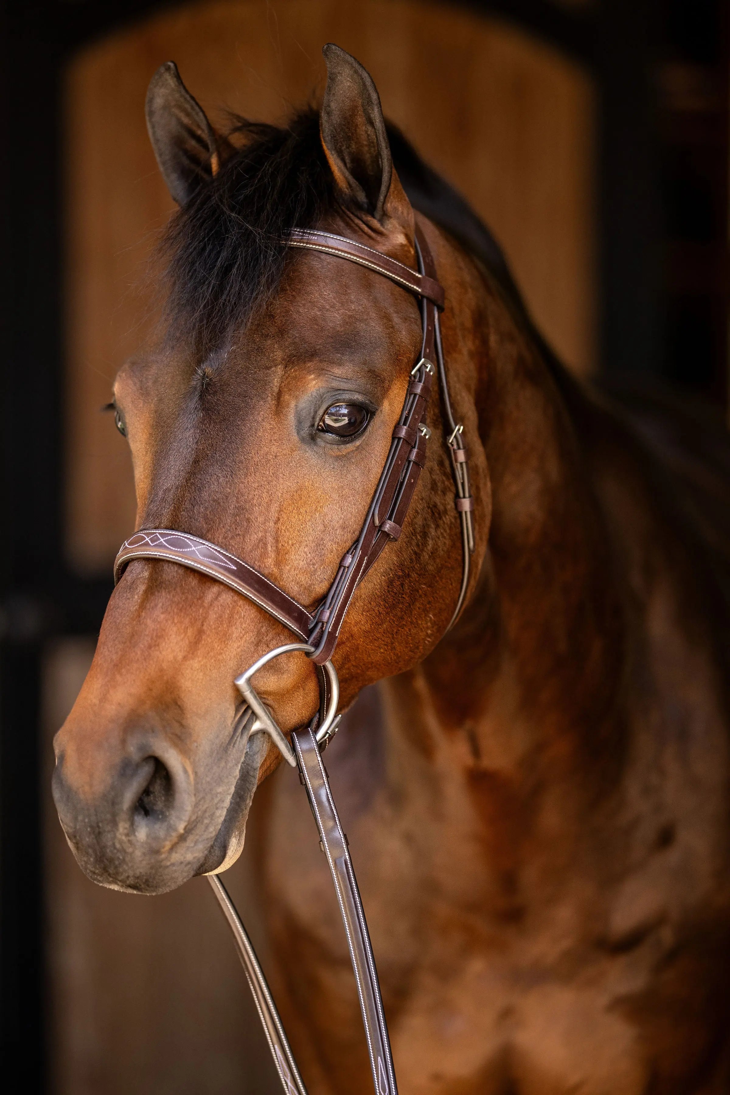 Huntley Equestrian Sedgwick Fancy Stitched Square Raised Hunter Horse Bridle with Reins Huntley Equestrian