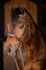 Huntley Equestrian Sedgwick Fancy Stitched Square Raised Hunter Horse Bridle with Reins Huntley Equestrian
